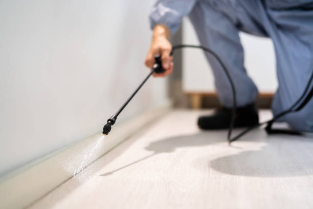 Licensed Fumigation Services service in Myrtle Beach, SC - Nex Pest Control