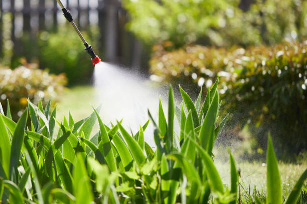 24/7 Emergency Fumigation Services experts in Myrtle Beach, SC