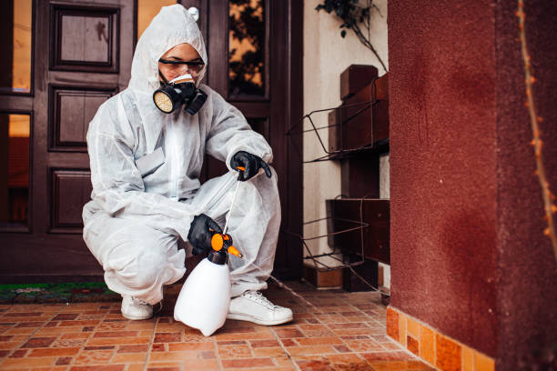 Reliable Fumigation Services contractor in Myrtle Beach, SC by Nex Pest Control