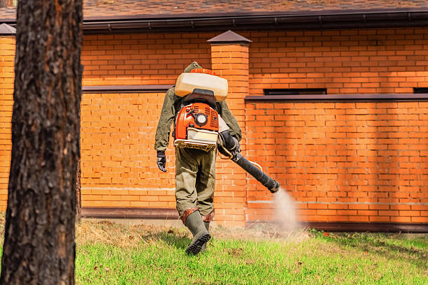 Trusted Emergency Pest Control service in Myrtle Beach, SC - Nex Pest Control